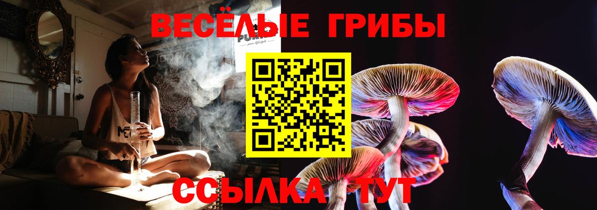 Галлюциногенные грибы мухоморы  магазин  наркотиков  Сорочинск  Вход с VPN 